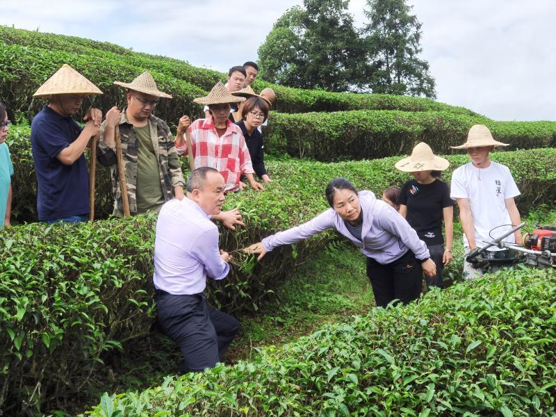 全国首部科特派条例在闽出台