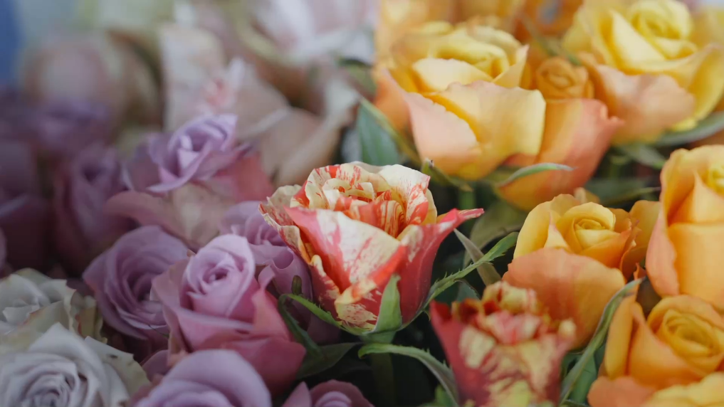 四中全会精神在基层丨无人车为云南晋宁花卉产业提升“智慧动能”