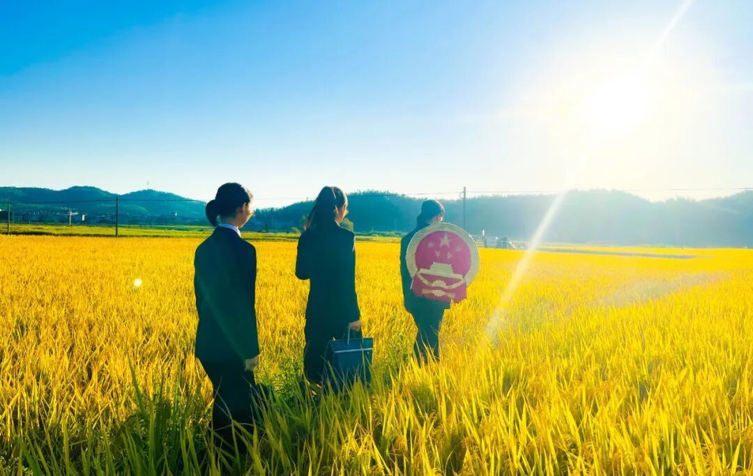 闽人新智｜从“异地跑”到“家门口办”，这项司法改革从福建走向全国