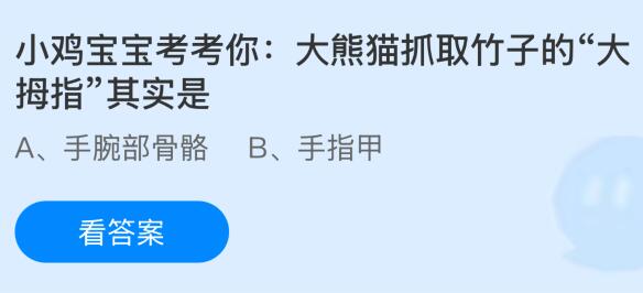 大熊貓抓取竹子的“大拇指”其實(shí)是什么？螞蟻莊園課堂今天答案最新11月30日