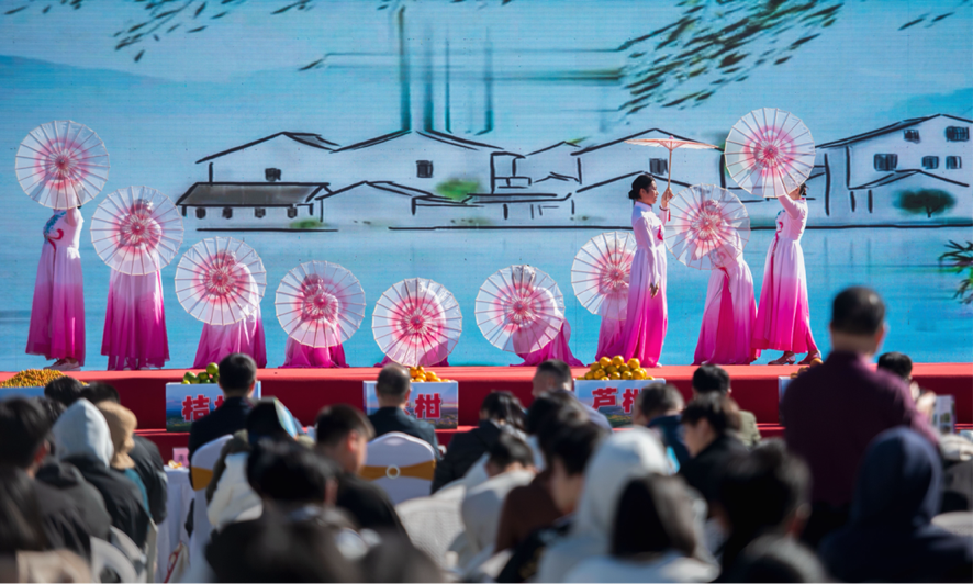 永春县湖洋镇第二届芦柑采摘活动甜蜜启幕