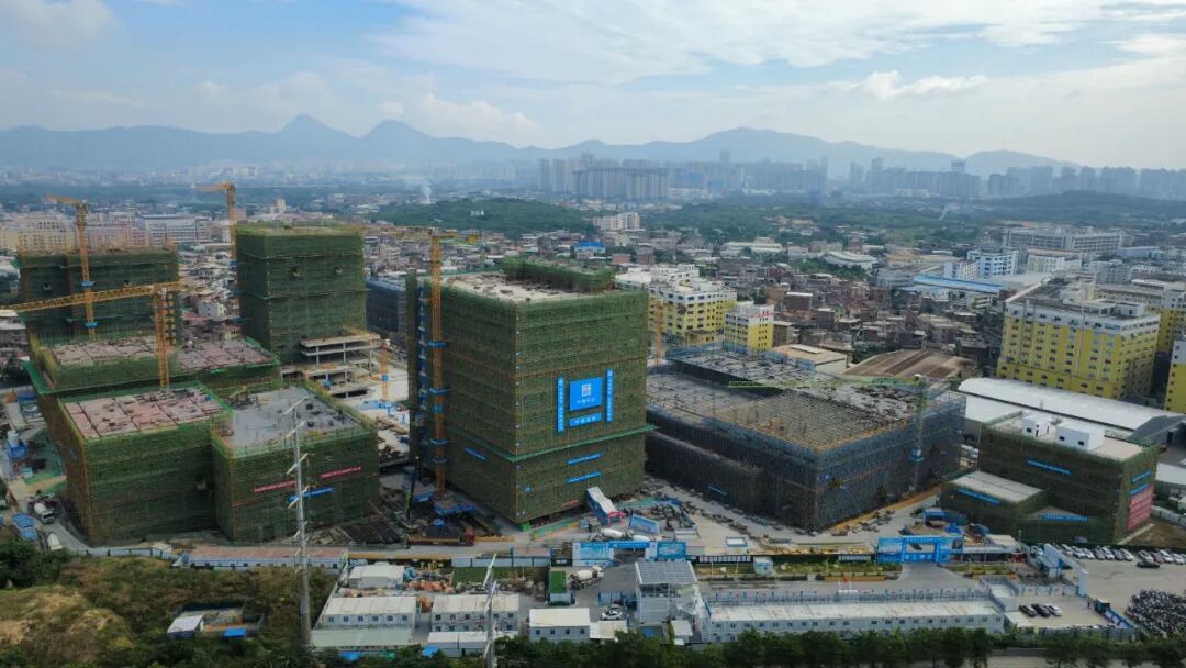 最新数据公布！鲤城全力冲刺！