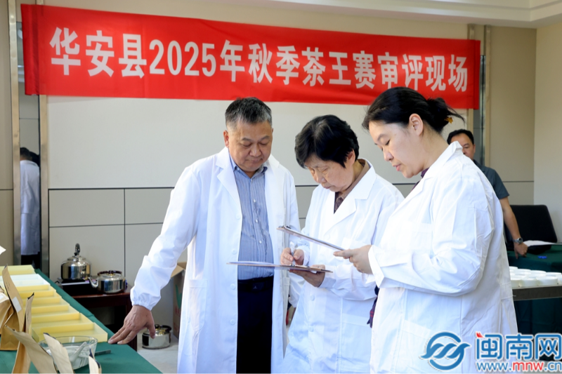 华安：秋季茶王新鲜出炉