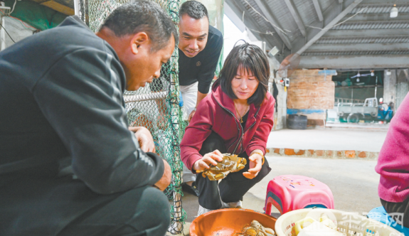 平潭：海鮮肥美季 賞味正當時