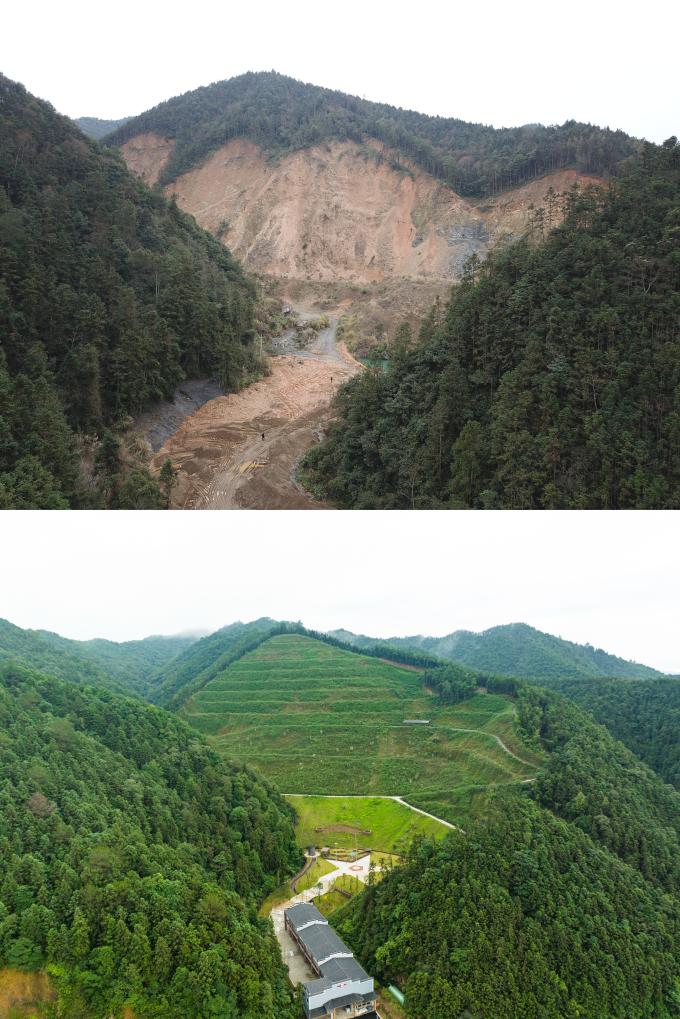 四中全会精神在基层丨荒山“焕新”记