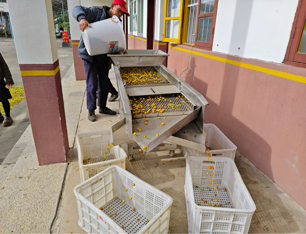永春：村企携手育金豆 荒山变宝富乡村