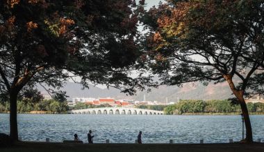 冬日暖阳里，来丰泽这儿享受惬意时光……