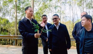 华安县委书记调研林业工作