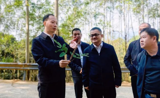 华安县委书记调研林业工作