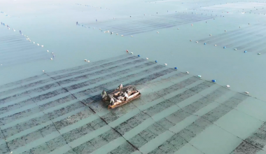 Ȫ۷β4000Ķͷˮϲˣ