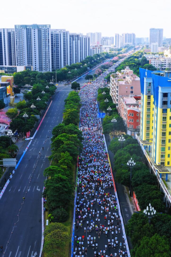 QQ截图20251207164955