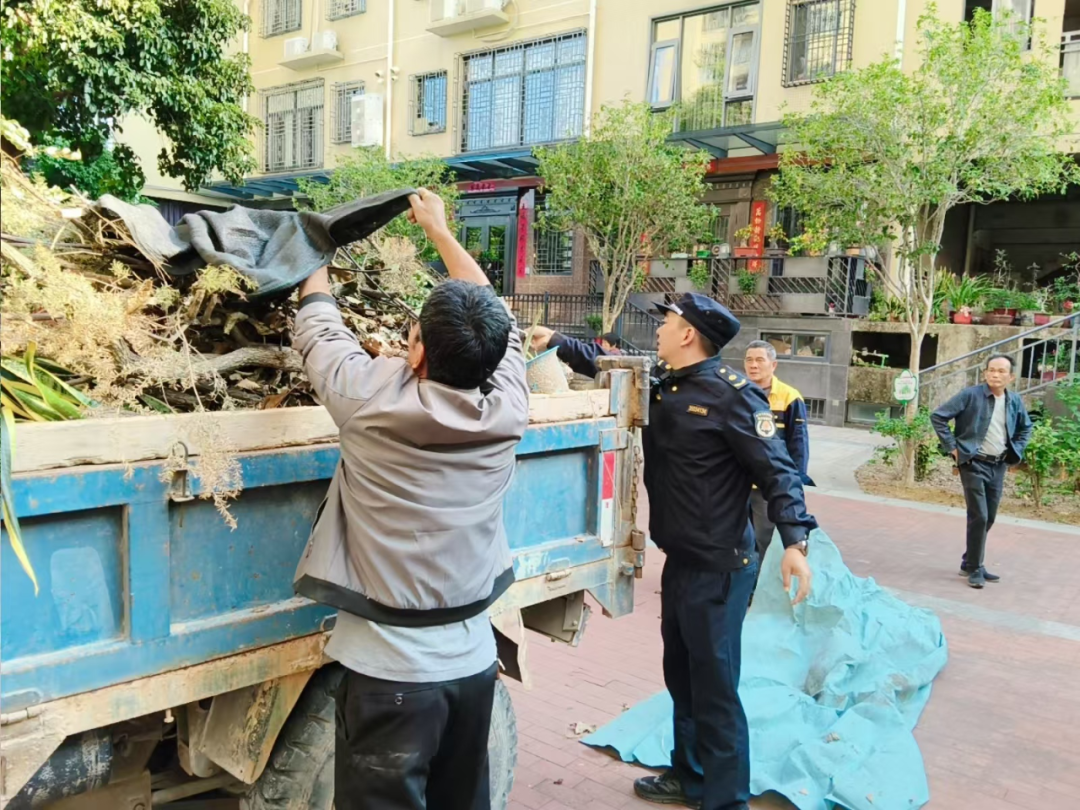 文明进行时丨云霄：多点发力助推提升城市文明质感（二）