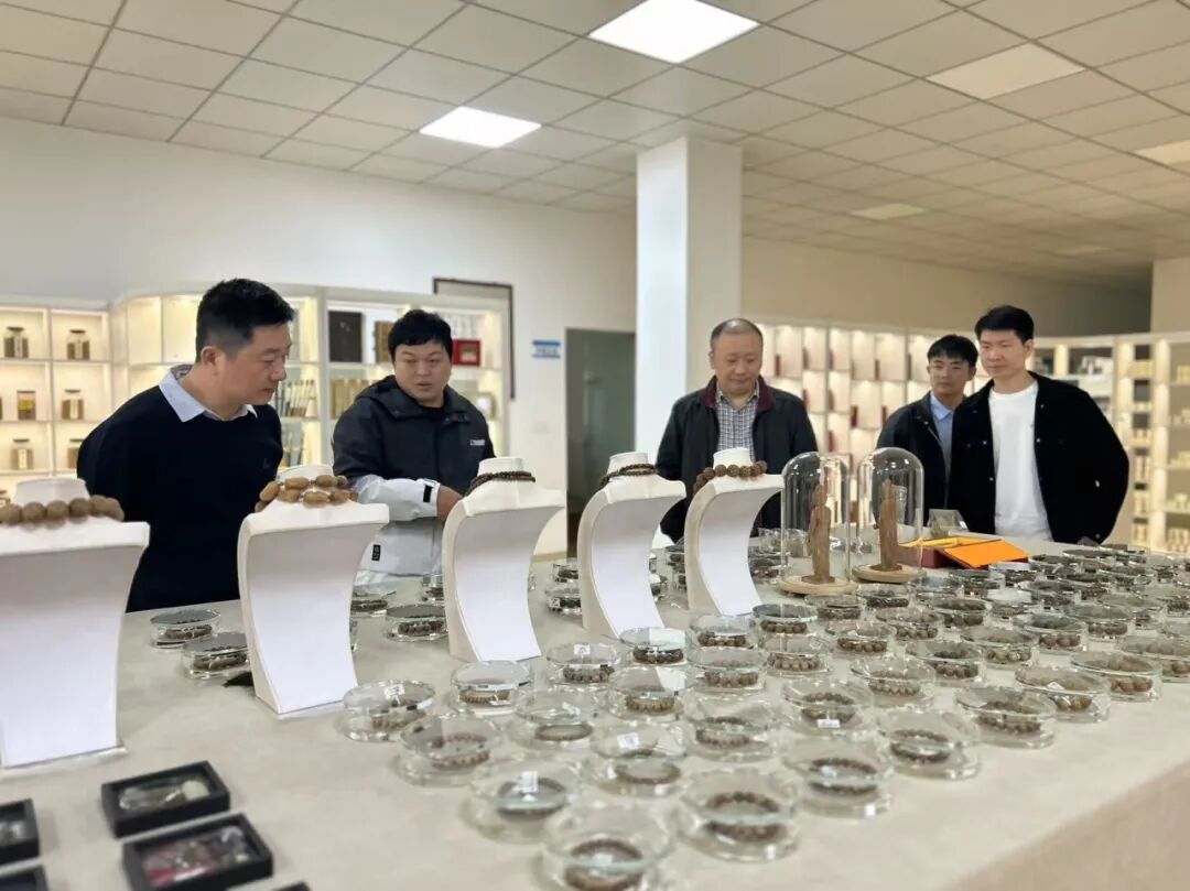 非遗赋能・品牌聚合！市井十洲城招商专班赴永春开展专场推介