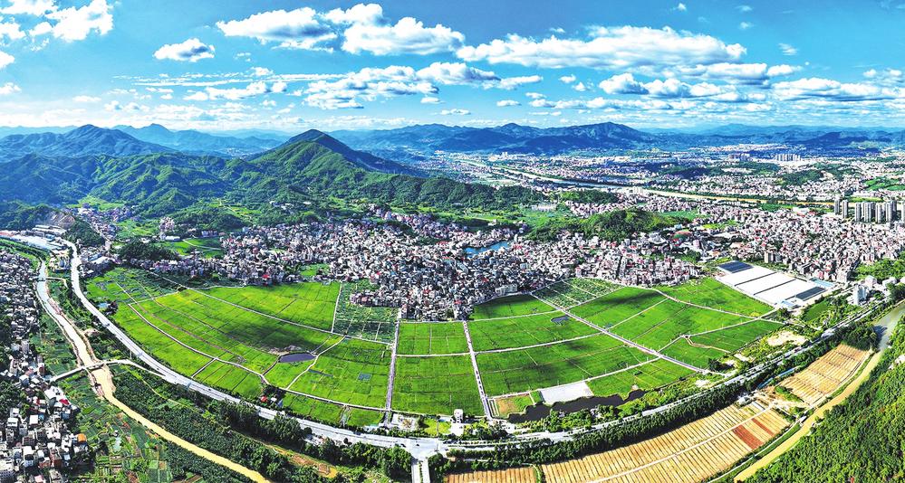 南安：“三变”赋能粮食产量稳居泉州首位  