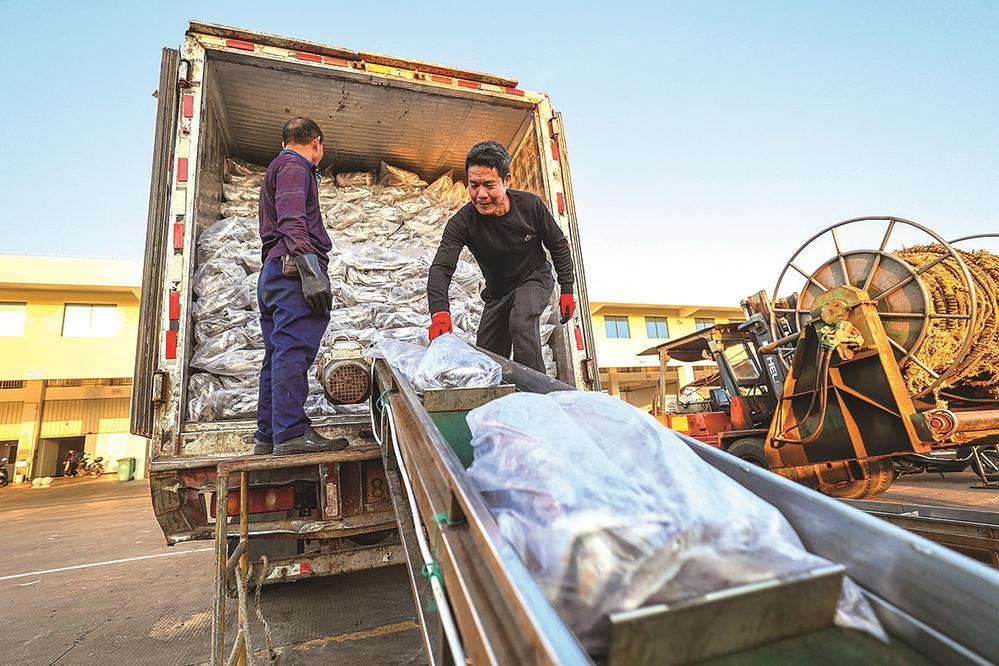 渔船回港避风 新鲜渔获上市