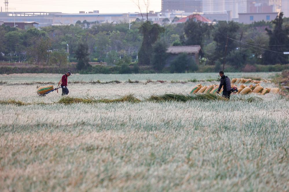 024c8e96-42eb-4009-b182-5c43aa594fc7.jpg (1)