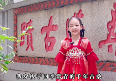 《一朵花精靈眼中的海絲傳奇》 李佳妤