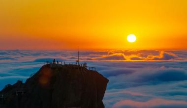 ʯţɽƺСɵ ճ桰̽