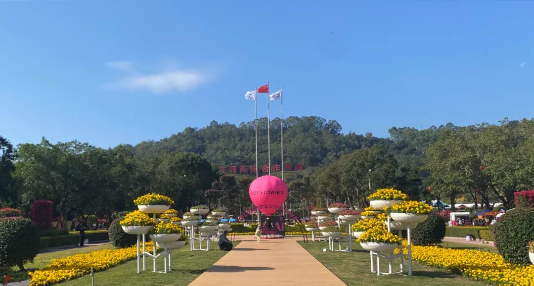 花博会，今年有了新变化！