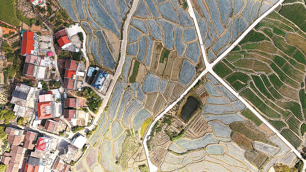 莆田仙游汾阳村：民居错落田园翠 绘就生态宜居振兴卷