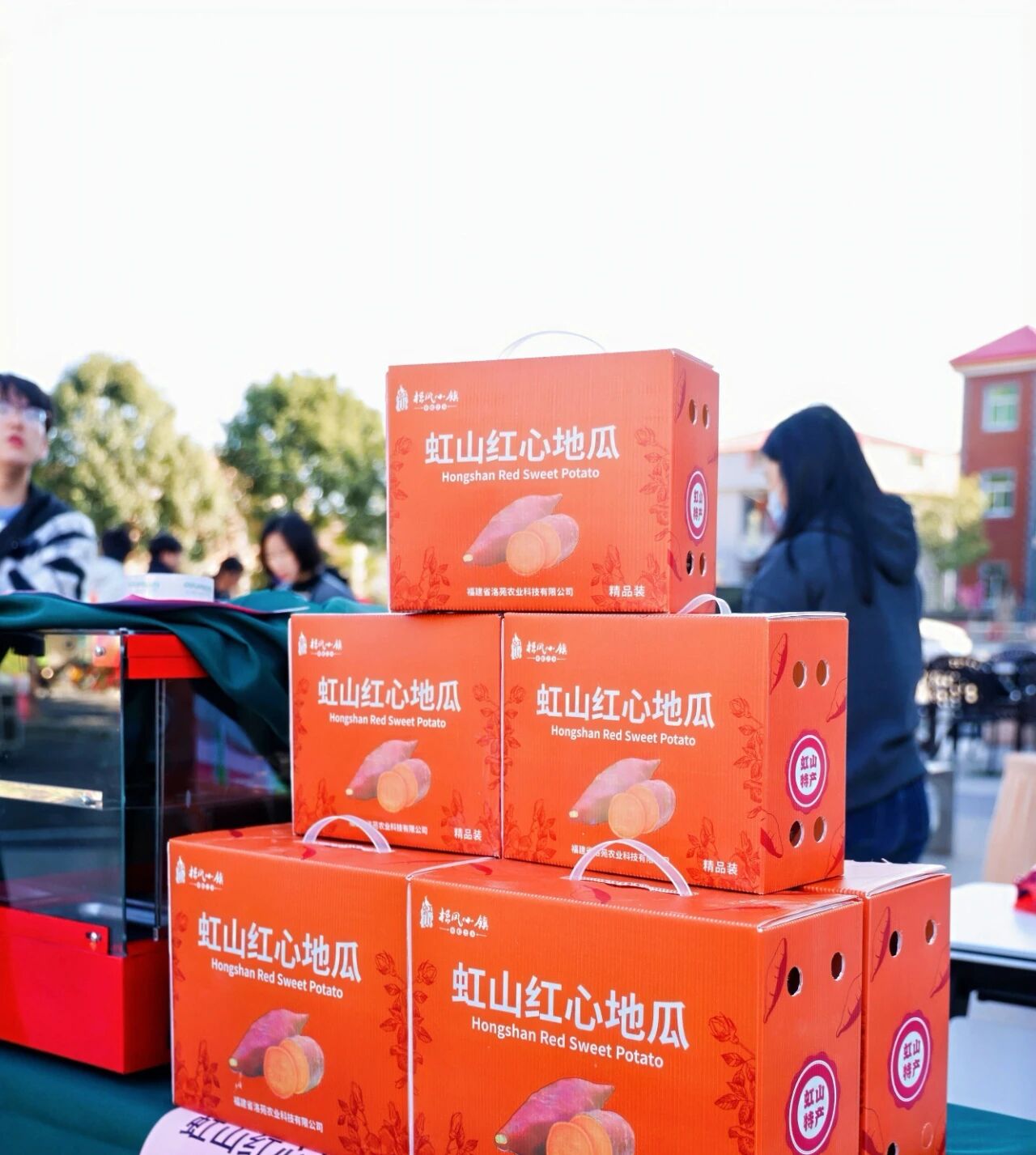 虹山红心地瓜，藏在洛江山野里的自然甜润