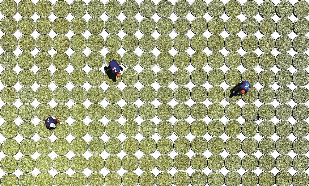 深读 | “地标示范区”何以赋能茶乡