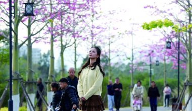 ��ӯϪ��ӣ��ϼ