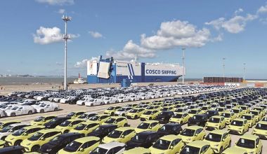 ��ͼǿ ������ͷ ����ʯʨ��ʮ���塱���⿪������ĸ��Ч����