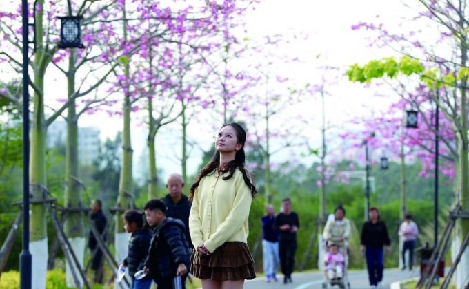 ��ӯϪ��ӣ��ϼ