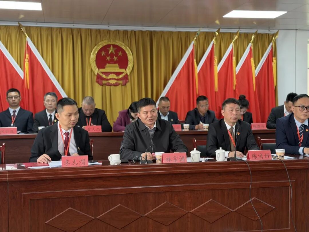 龙华镇选举产生镇长、副镇长！