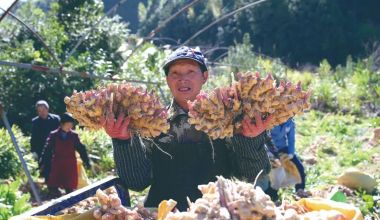 資源變資產(chǎn) 產(chǎn)業(yè)聚合力 德化書寫鄉(xiāng)村共富實踐答卷