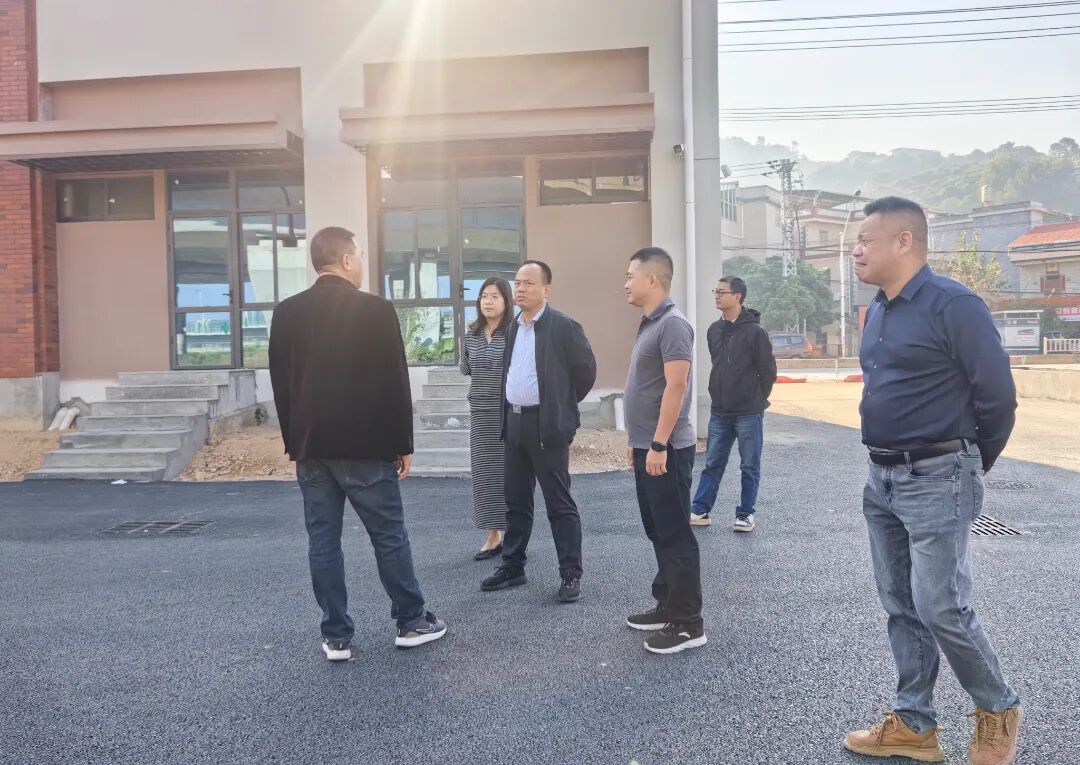 漳州高新区领导调研督导乡村振兴工作