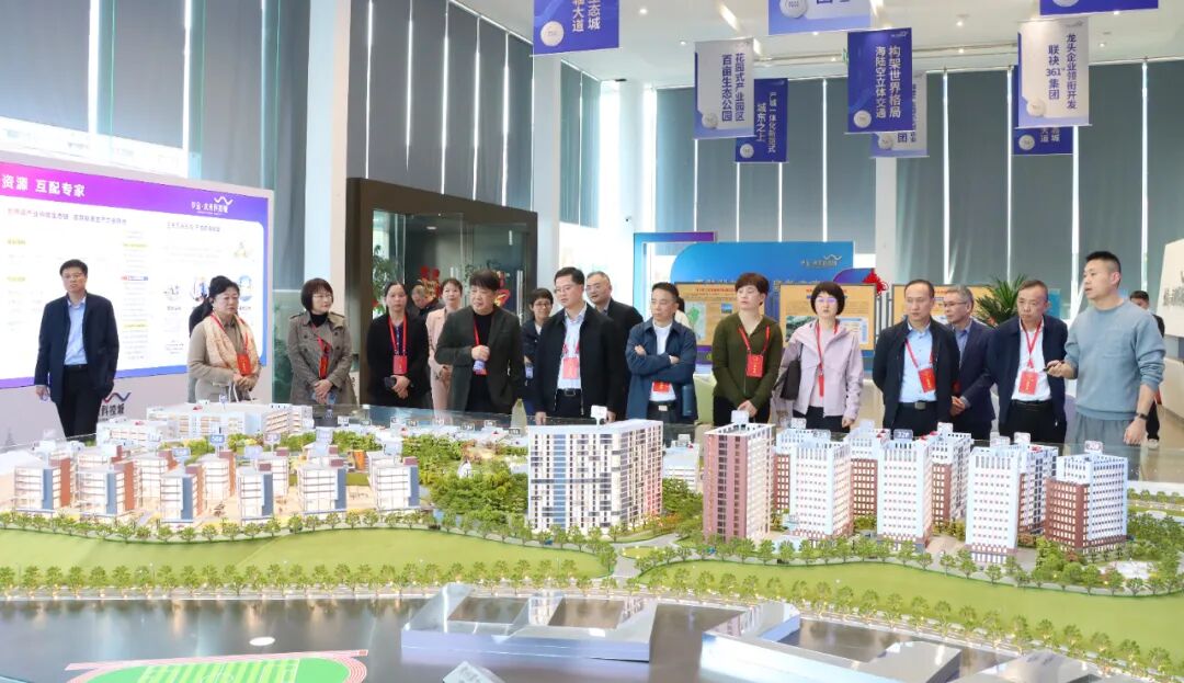 泉州市十七届人大代表（洛江代表团）开展集中视察活动