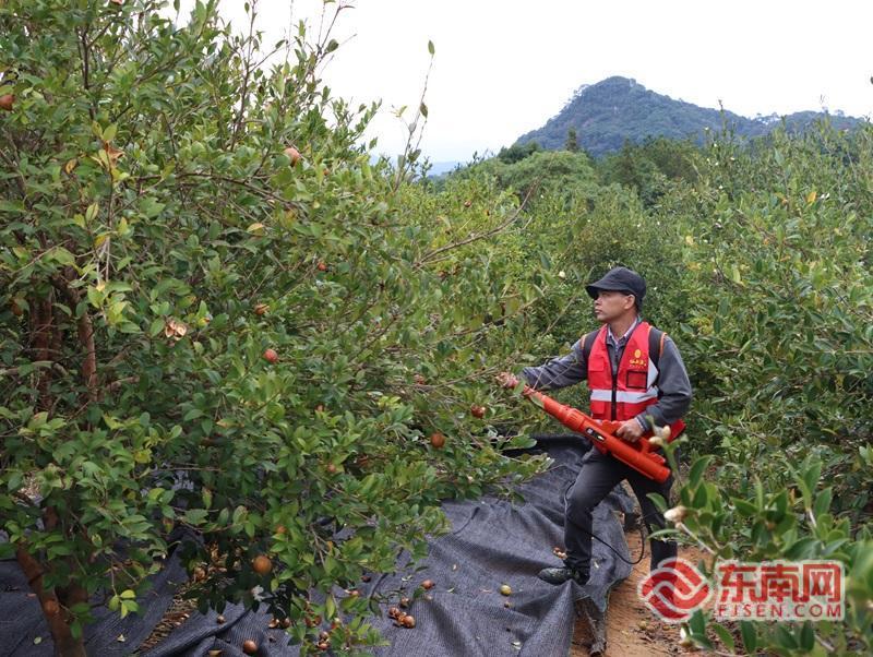 “十五五”·福见未来 | 青山聚宝 林海生金
