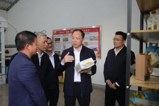 华安县委书记专题调研种养加一体化现代农业产业园建设