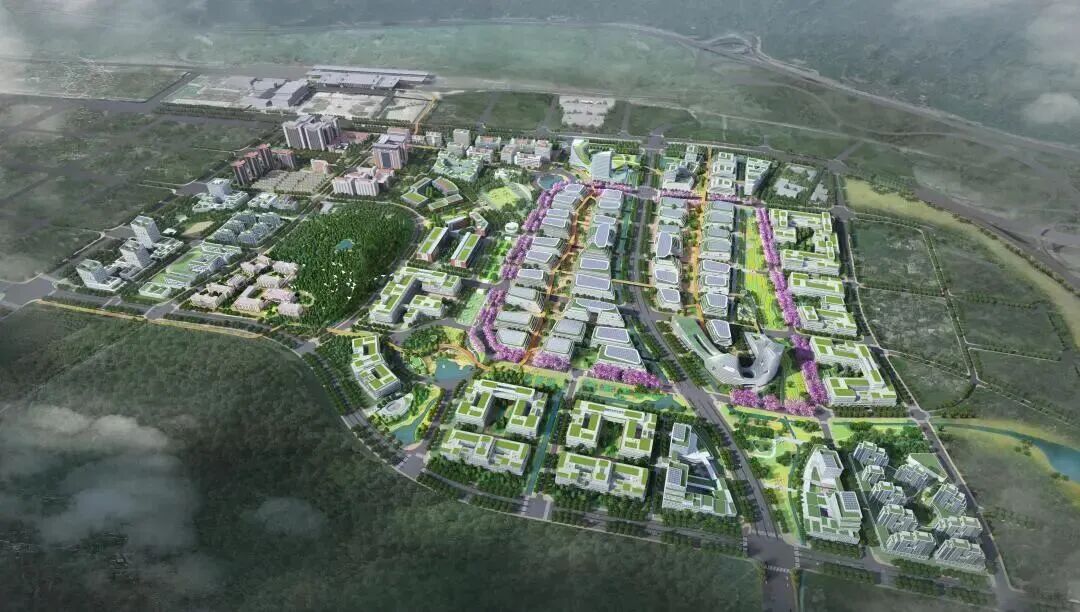 丰泽：聚力规划引领 绘就“海丝名城”核心区发展新蓝图