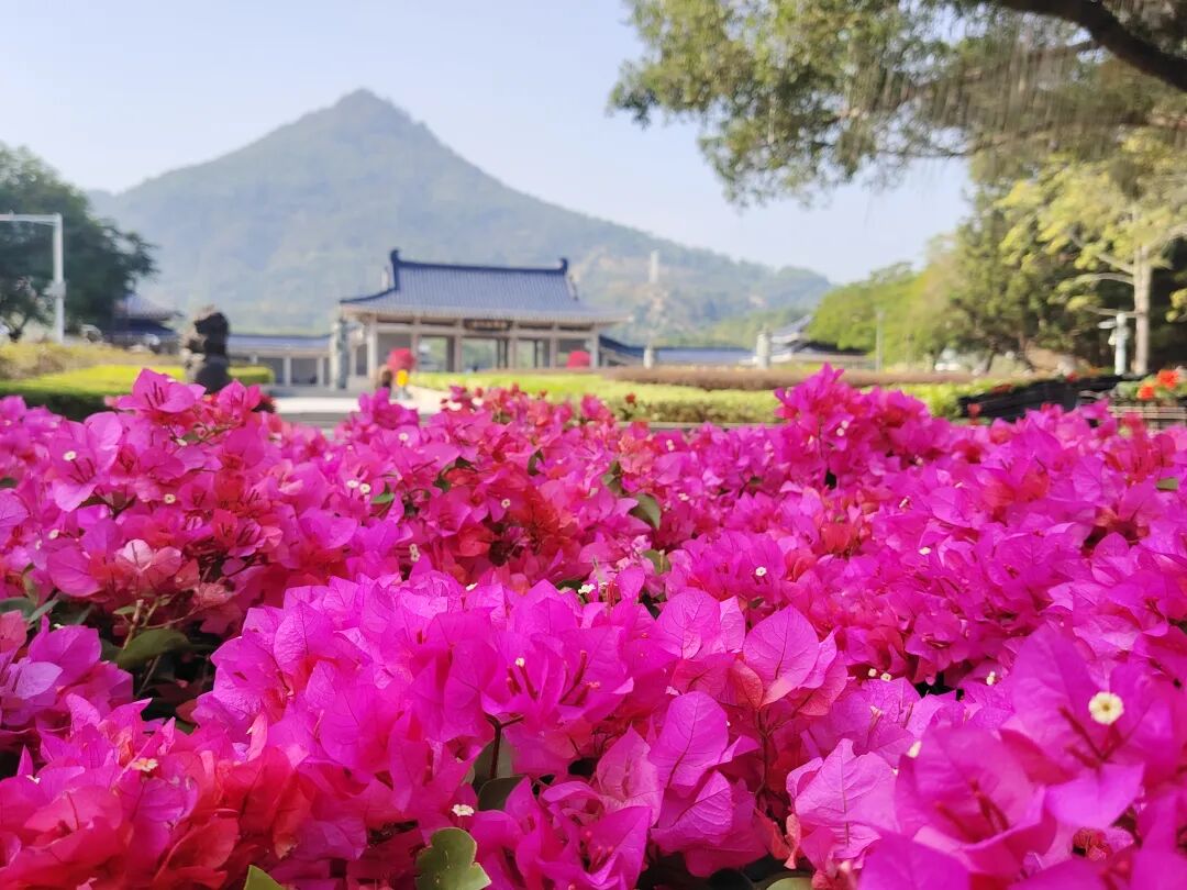 云霄将军山公园，“花式”展新颜！