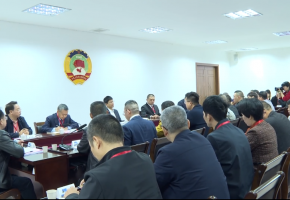 【聚焦兩會】政協委員分組熱議 暢談履職思路 