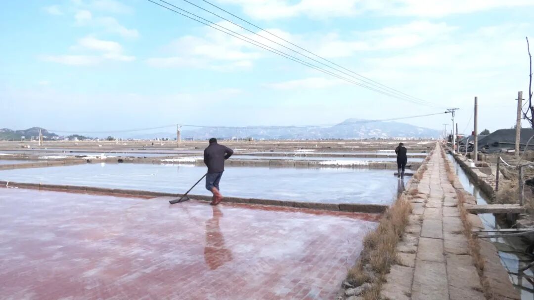 漳浦盐场：以高质量党建引领高质量发展