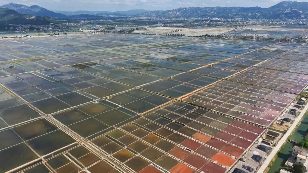 12月24日 (1)_副本.jpg