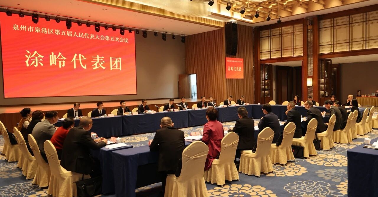 泉港区政府主要领导参加人大代表团分组审议