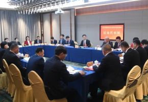 泉港區委主要領導參加人大代表團分組審議