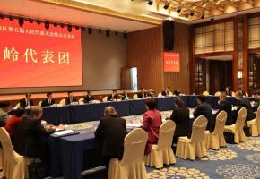 泉港區政府主要領導參加人大代表團分組審議