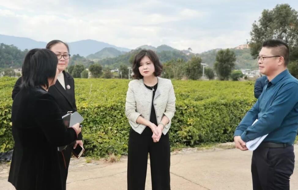 华安县县长督导调研土楼半程马拉松赛事筹备工作