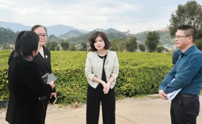 华安县县长督导调研土楼半程马拉松赛事筹备工作