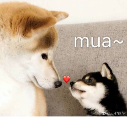 2026年新年祝福语唯美简短 最新新年祝福贺词文案