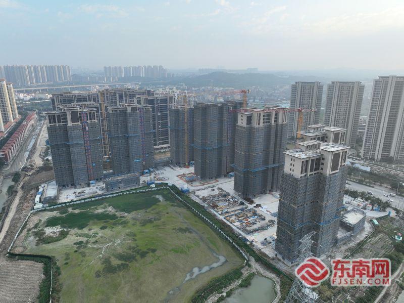 我的“十五五”丨我的新家梦，一座幸福之城的温暖注脚