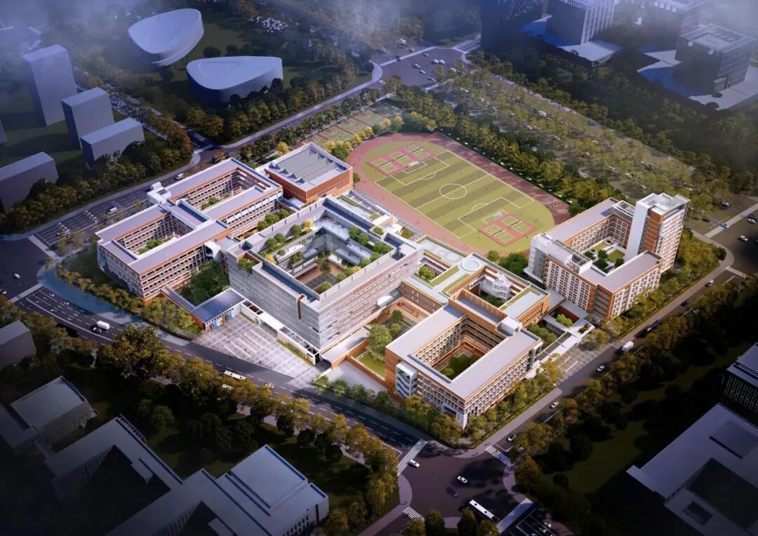 丰泽：最年轻城区的“教育逆袭”密码