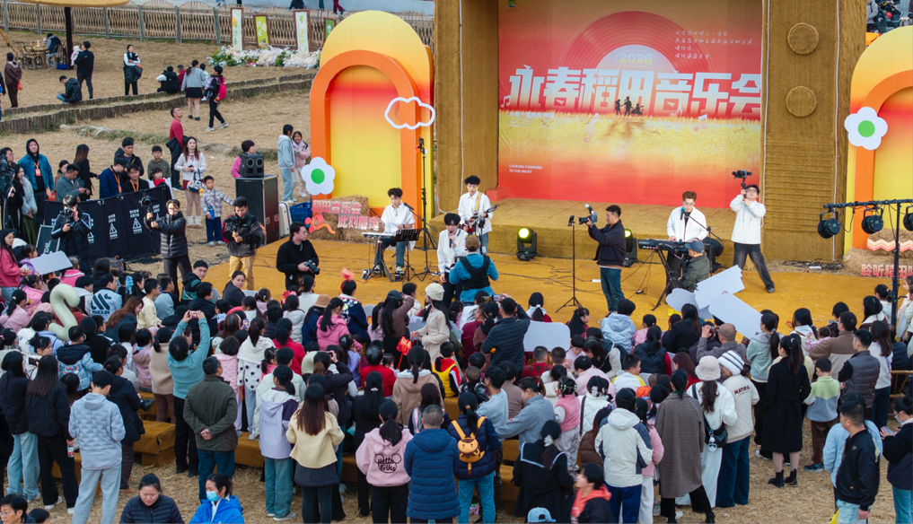 永春：稻田音乐节唱响元旦 田园狂欢引客来