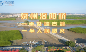 泉州洛阳桥：一半世遗古韵，一半人间烟火